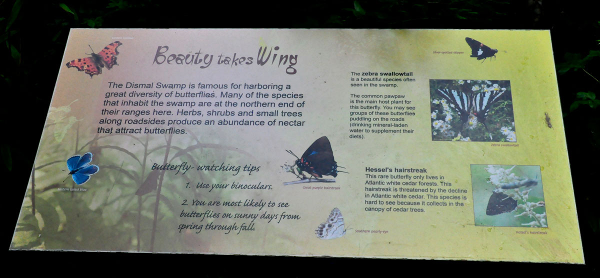 sign about butterflies